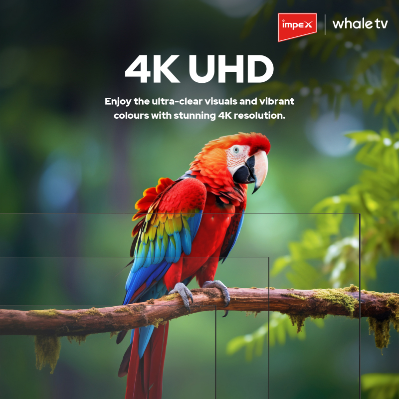 Whale OS 50 SMART QLED TV | Wios50Q