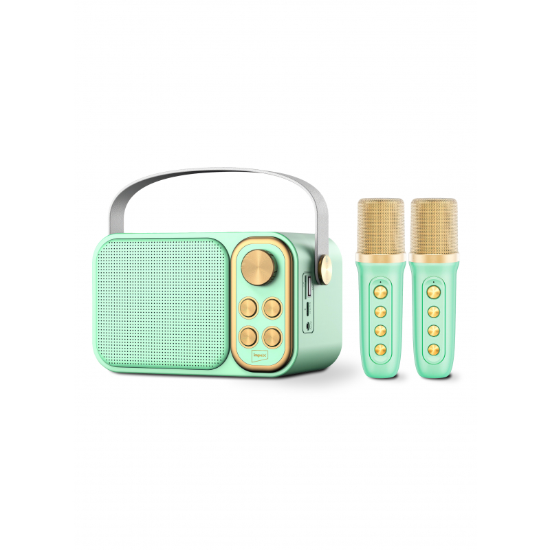 Impex Portable Bluetooth Karaoke Speaker | KM 1302